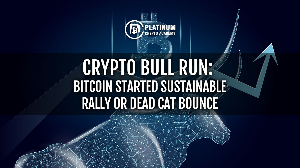 Crypto Bull Run